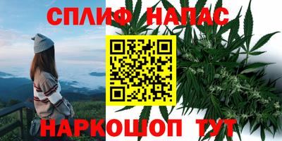 спиды Кандалакша